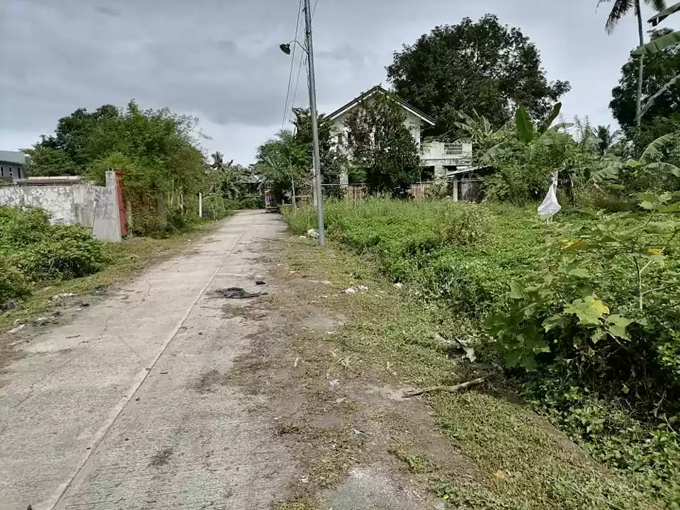 200sqm. lot in Doongan Butuan City along cemented road - photo 5