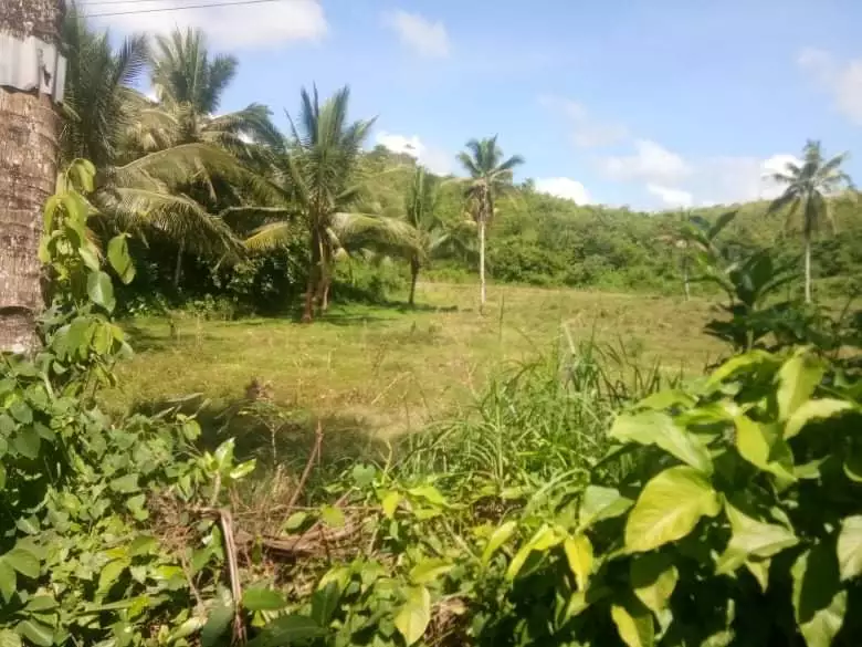 Lot for Sale in Sogod - photo 2