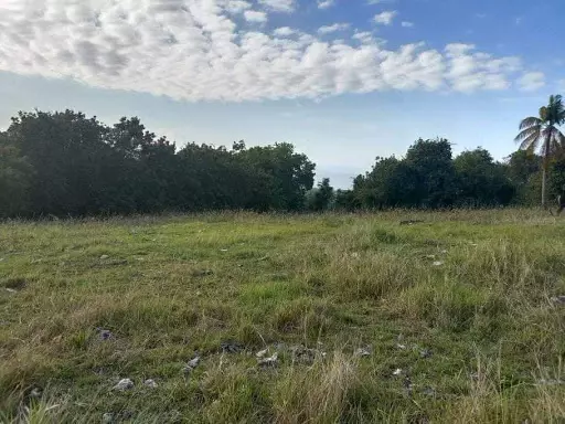 LOT for sale in Oslob — Residential Lot in Natalio Bacalso Avenue, Oslob, Cebu — Photo 2