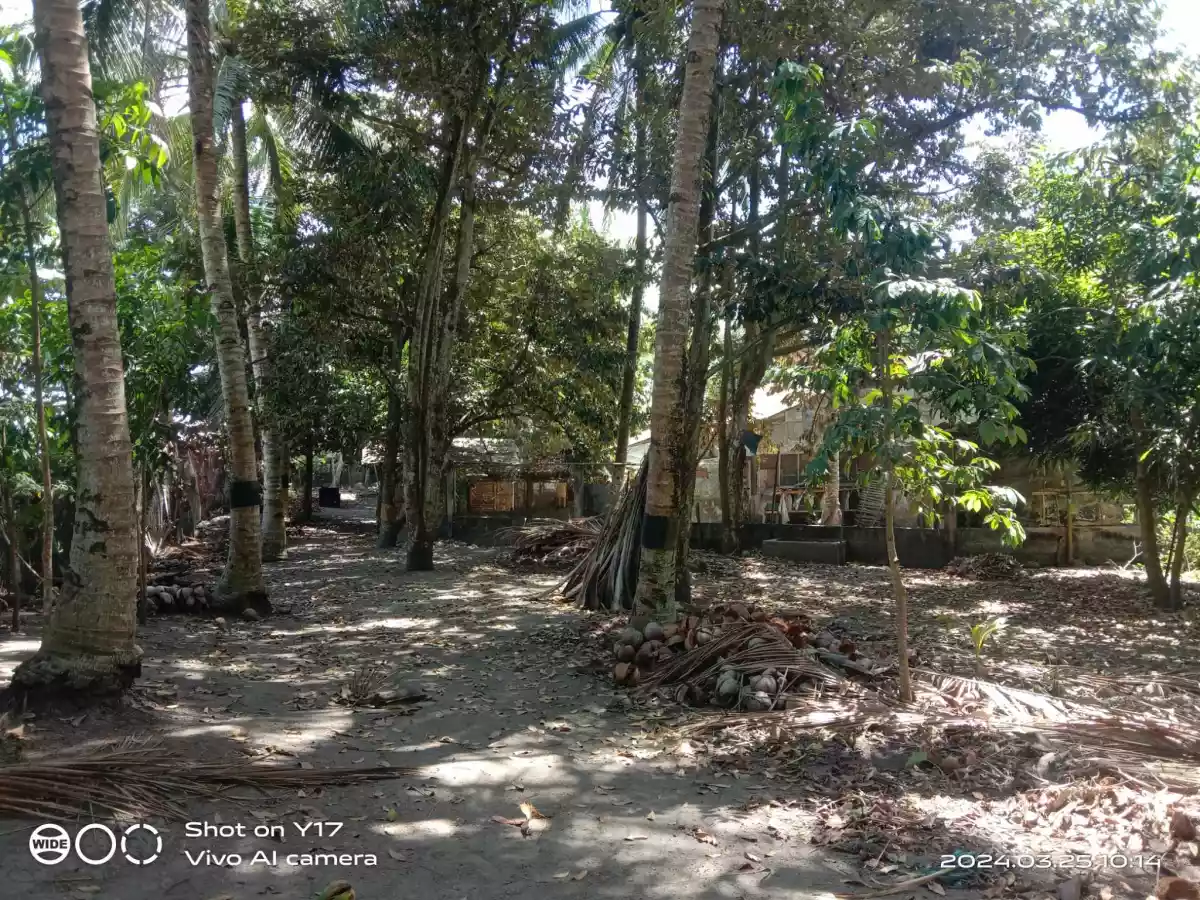 Open photo 20 of 21 — 1 HECTARE FOR SALE IN POLOMOLOK