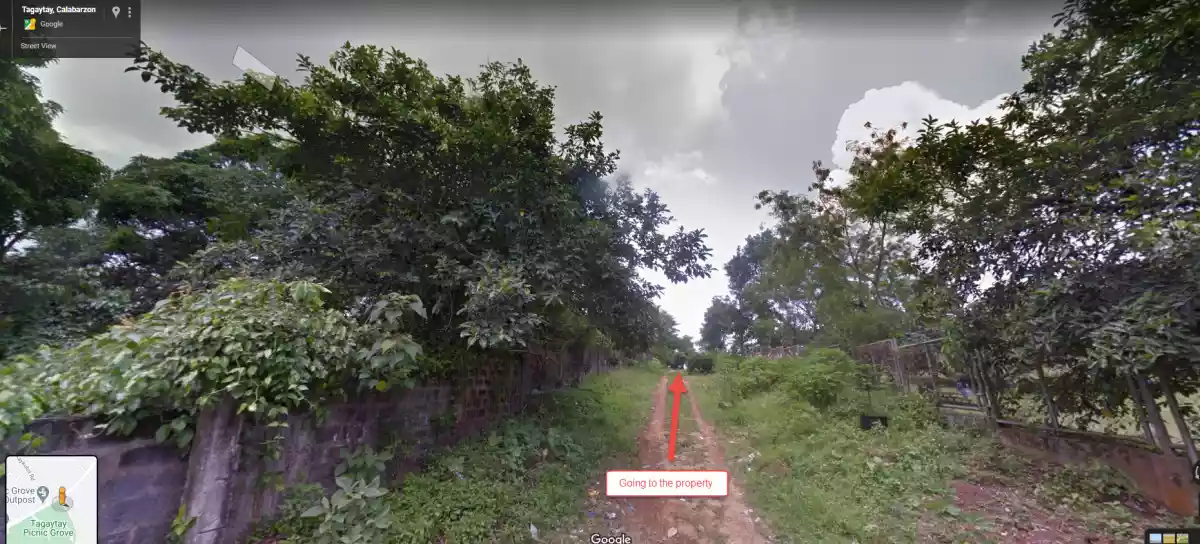 Tagaytay 5 Hectares Agricultural Land - photo 4