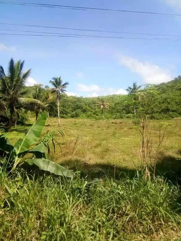 Lot for Sale in Sogod - photo 4