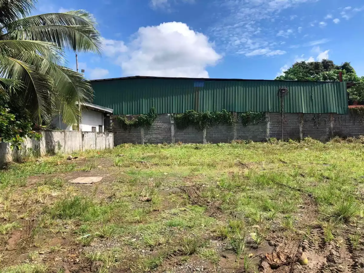 Commercial Lot in Calinan — Commercial Lot in Brgy. Calinan, Davao-Bukidnon Road, Calinan District — Photo 3