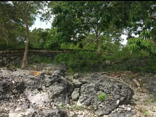 Seawall Lot FOR SALE!! - photo 4