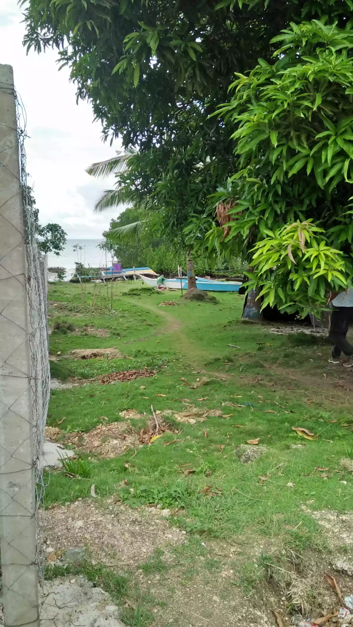 San Remegio Beach Lot for Sale - photo 5