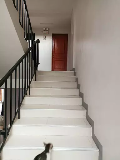 INCOME GENERATING BUILDING FOR SALE NEAR CIT N.Bacalso Avenue Cebu City — Building in Cebu, Philippines — Photo 2
