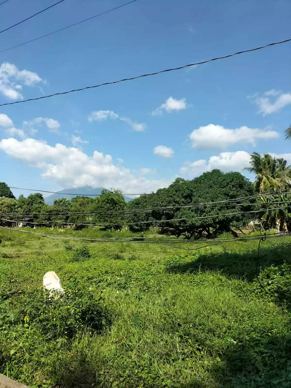 Batinguel Diversion Residential 6879sqm Lot For Sale — Residential Lot in Negros Oriental, Philippines — Photo 4