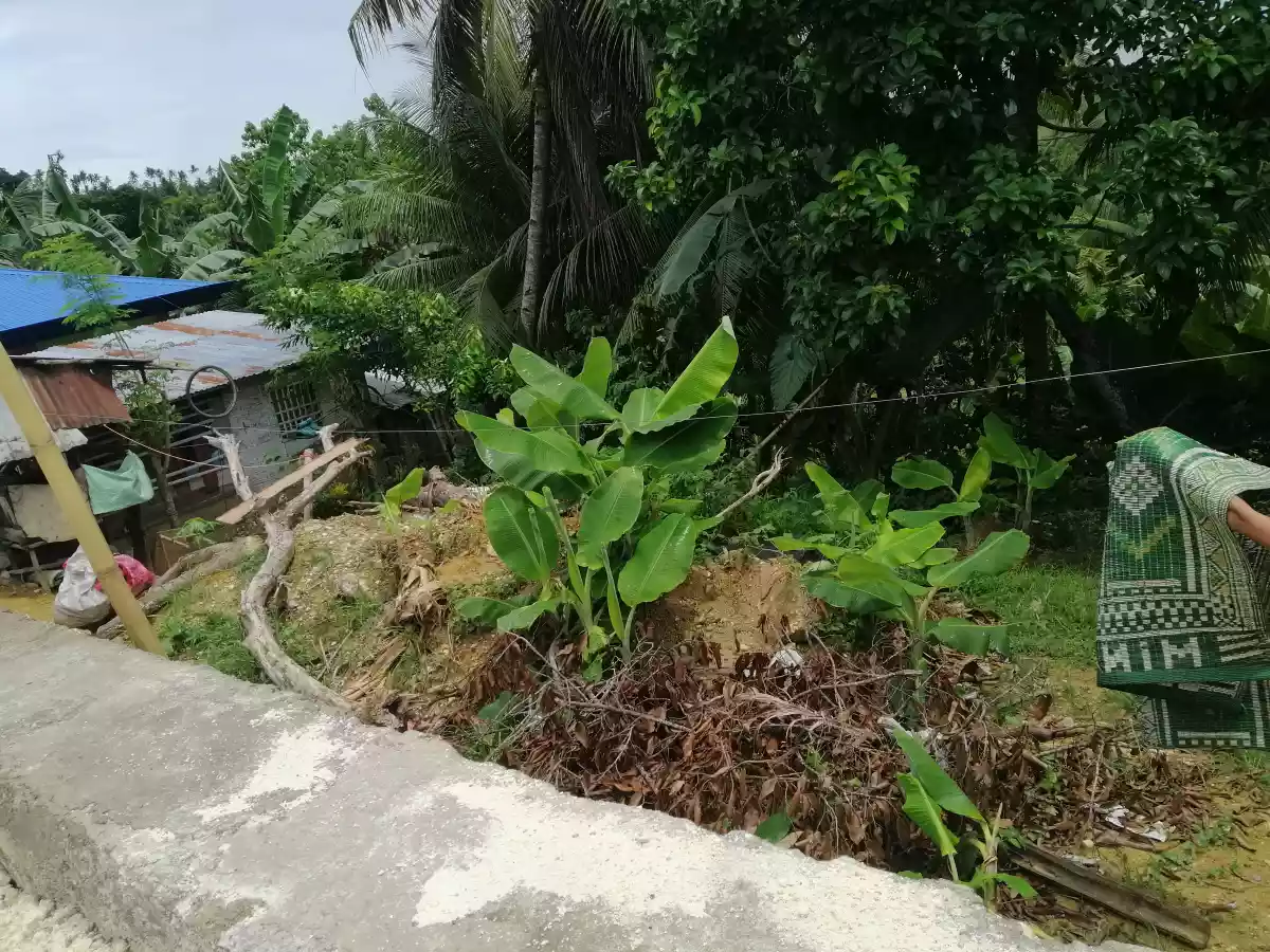 Lot for Sales along barangay Road.  - photo 3