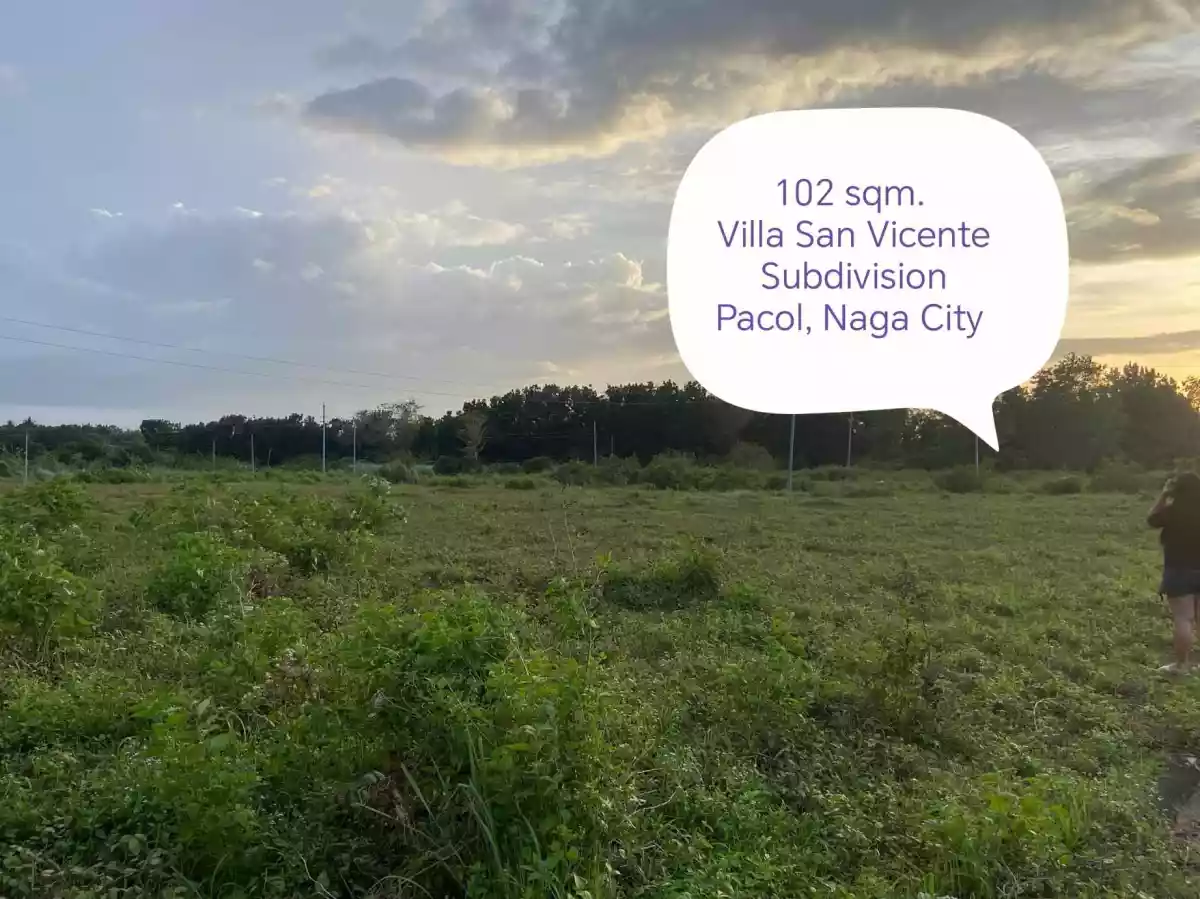 LOT FOR SALE!! — Residential Lot in Naga, Camarines Sur, Philippines — Photo 2