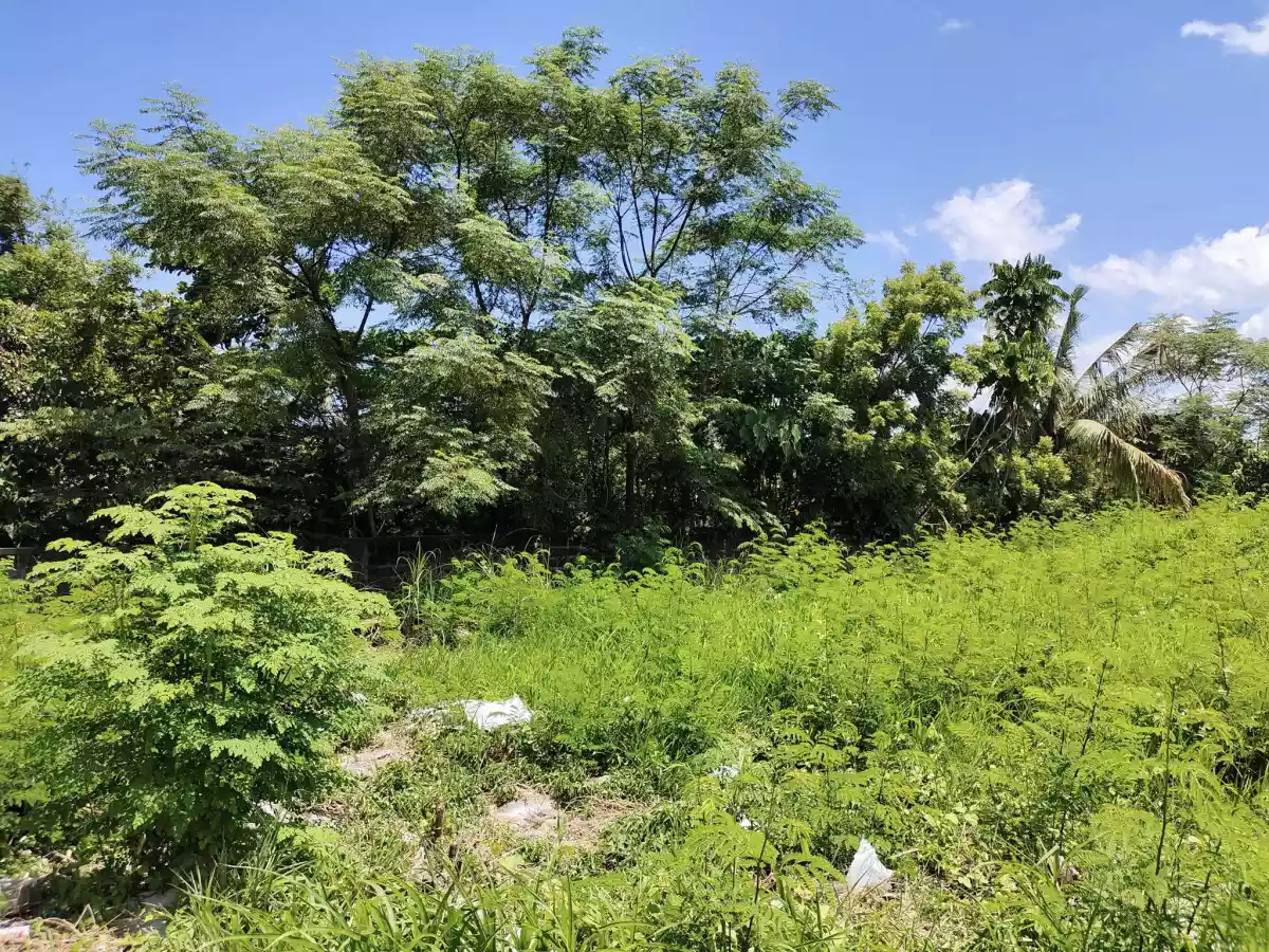 Residential Lot for Sale in Corona del Mar Subdivision in Talisay City — Residential Lot in Pooc, Talisay, Cebu — Photo 4