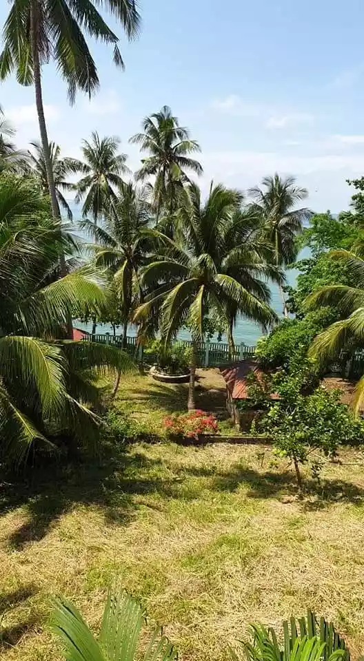 Beach House for sale in Tuburan - photo 7