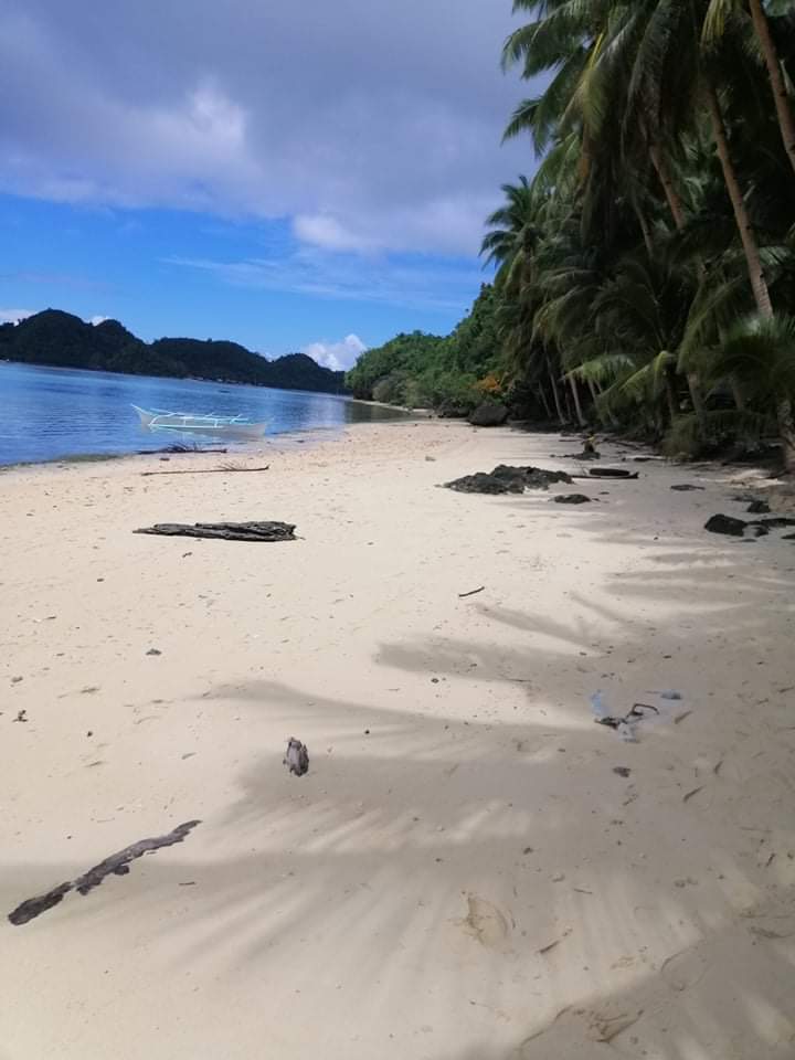 ISLAND FOR SALE IN SIARGAO ISLANDS - photo 4