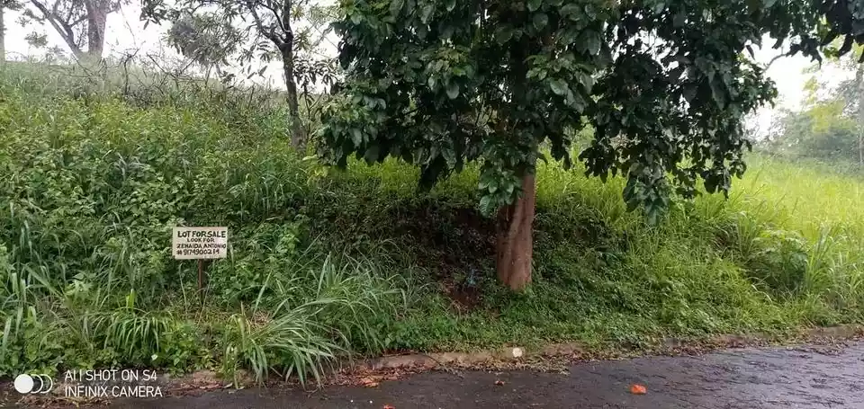 Lot For Sale- Sun Valley Estates, Antipolo City - photo 6