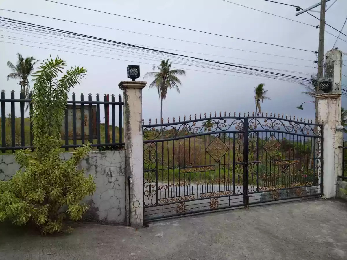 For Sale House and lot in San Fernando with lot area 7527sqm — House and Lot in San Fernando, Cebu, Philippines — Photo 6