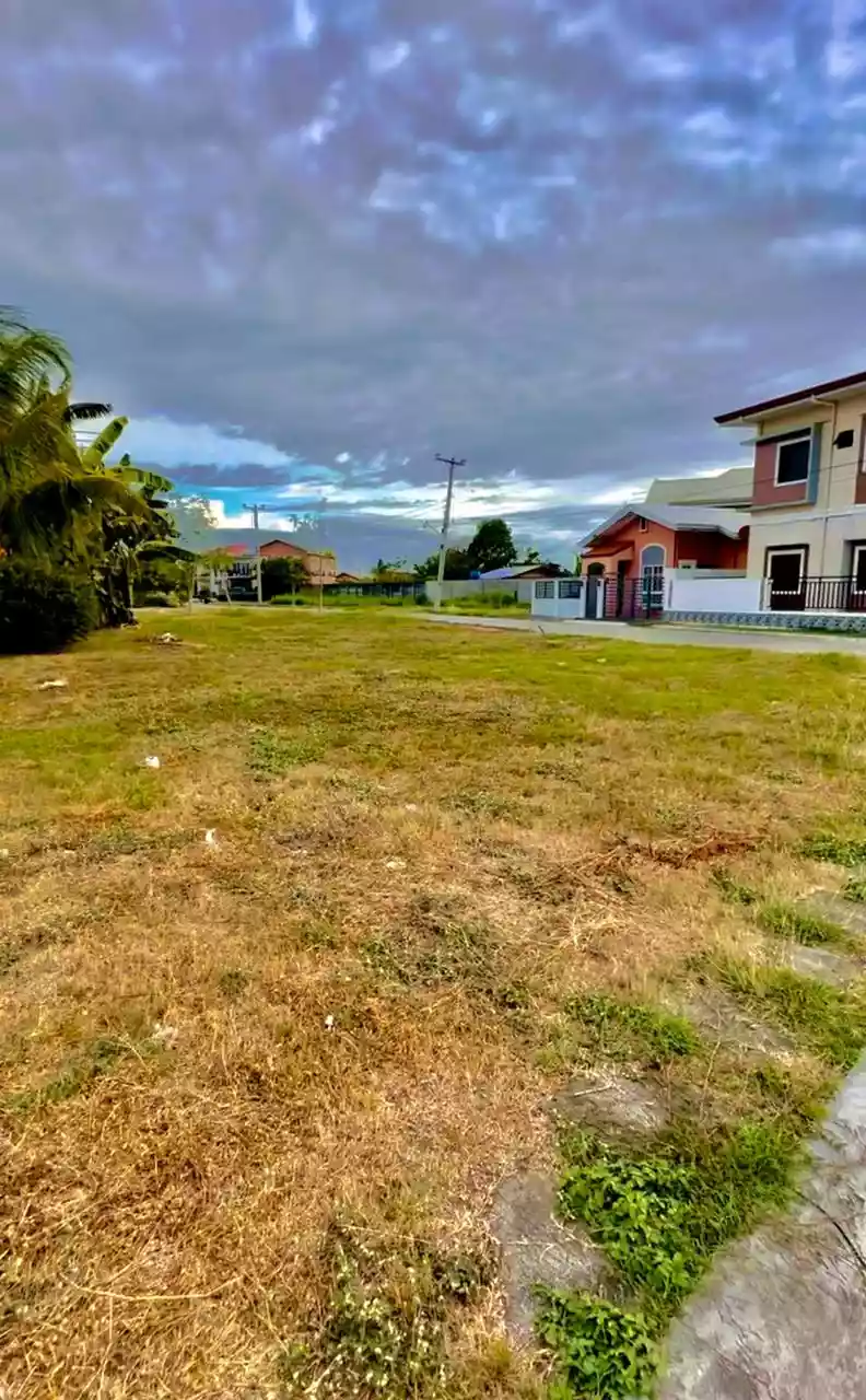Corner Subdivision Lot for Sale in Cordova — Residential Lot in Barangay Alegria Road, Cordova, Cebu — Photo 6
