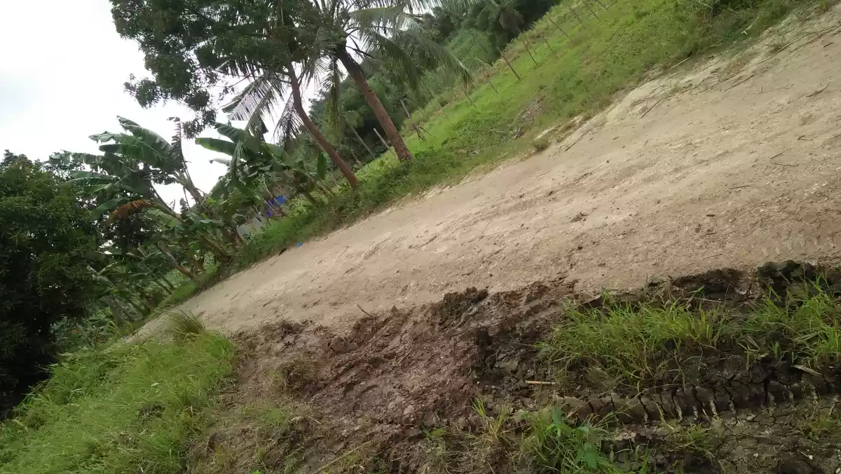 Bogo Farm Lot for Sale - photo 2