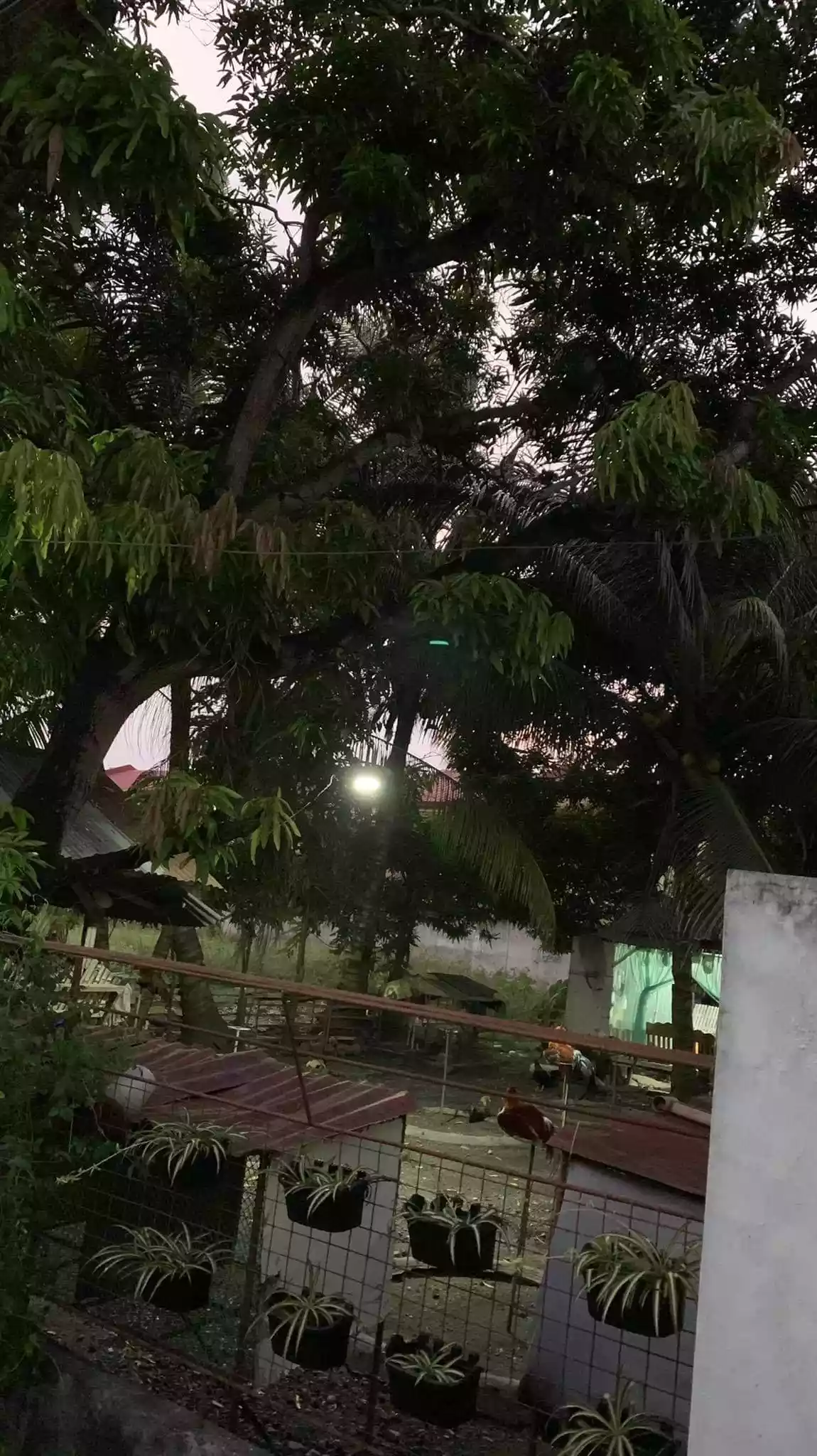 Titled Lot — Residential Lot in Talisay, Cebu, Philippines — Photo 3