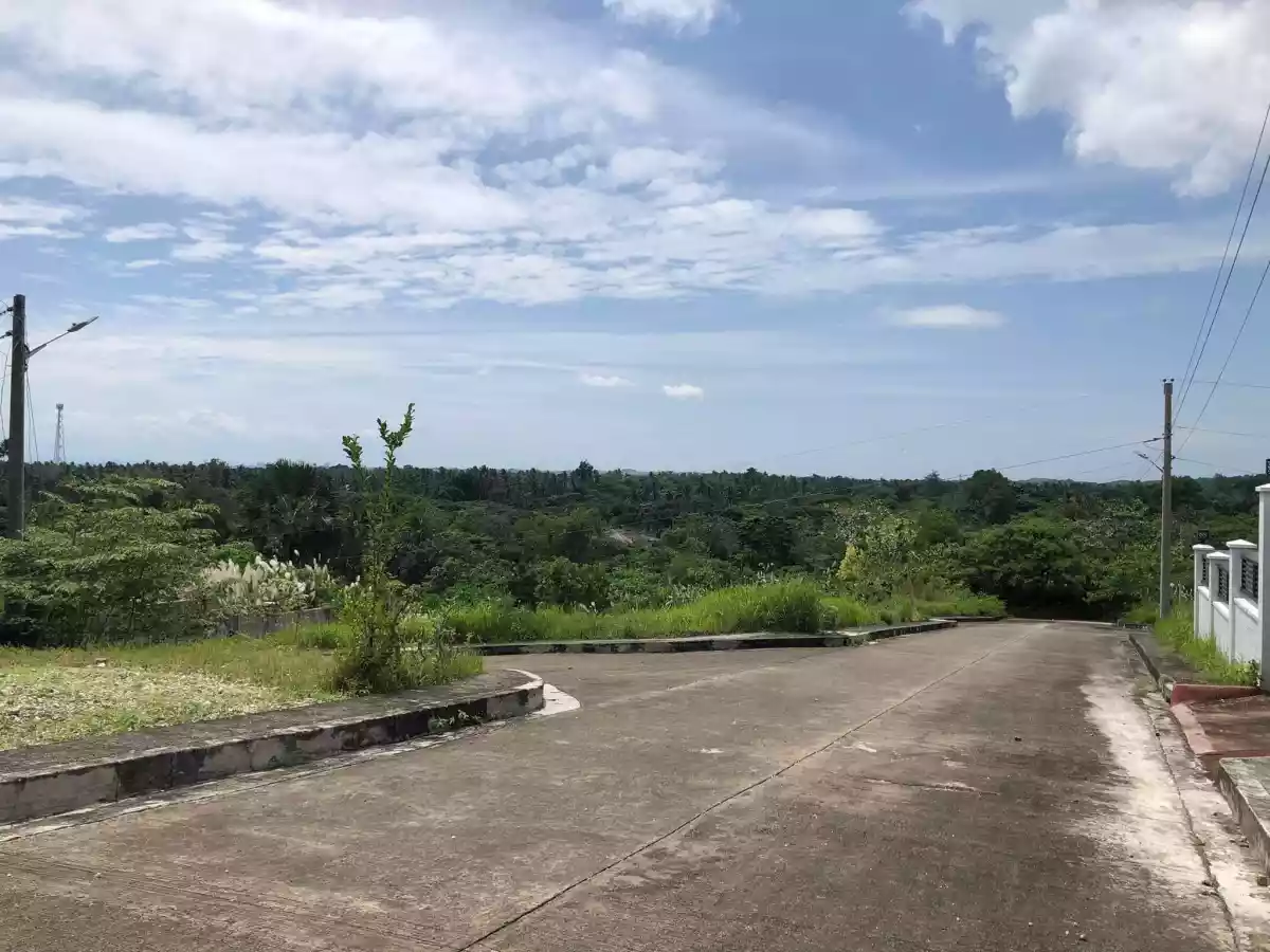 Consolacion lot at Summerhills - photo 4
