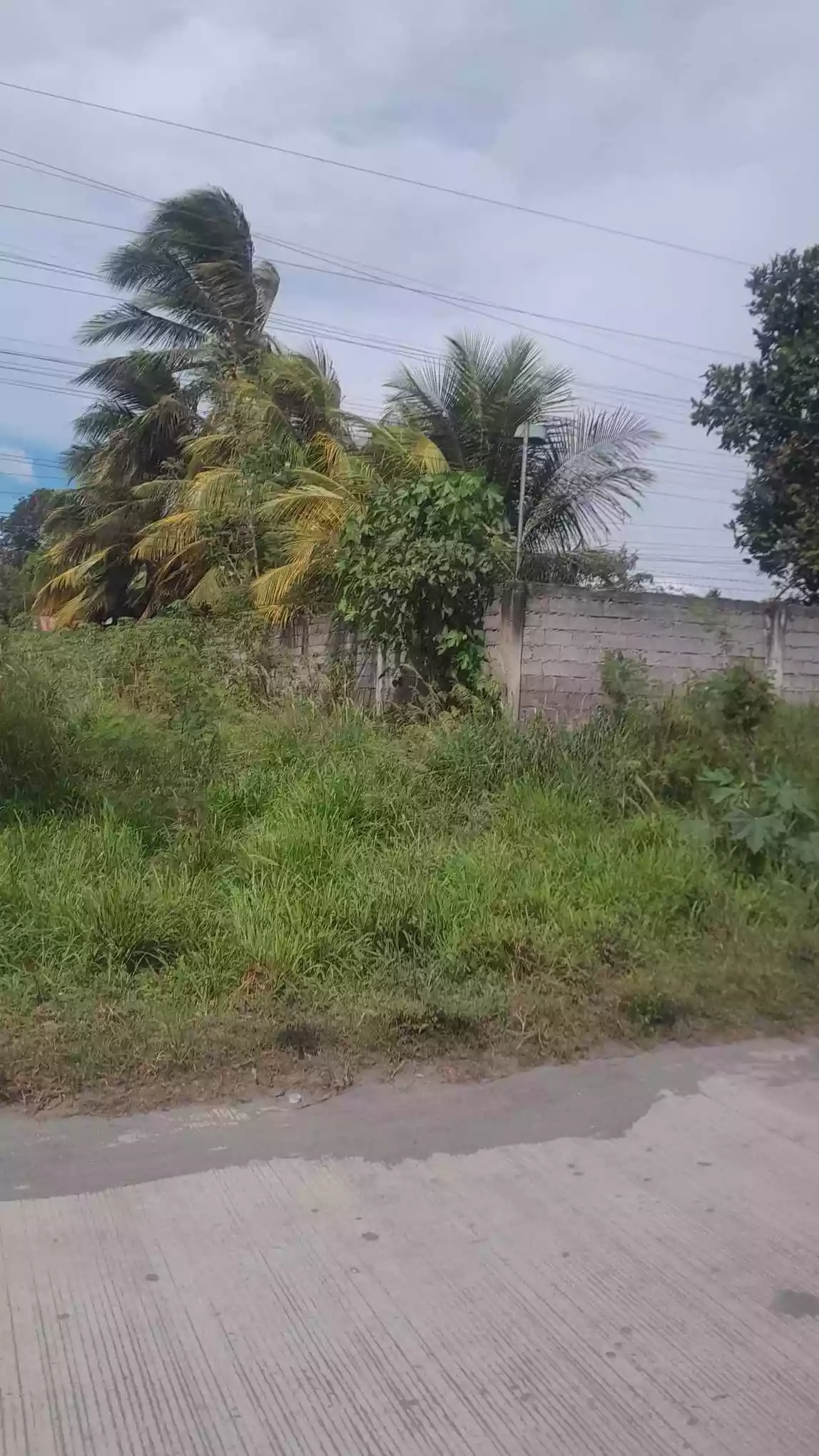 Agricultural Lot Ideal for Commercial Lot in Mabuhay Road (Corner) — Agricultural Lot in General Santos City, South Cotabato, Philippines — Photo 4