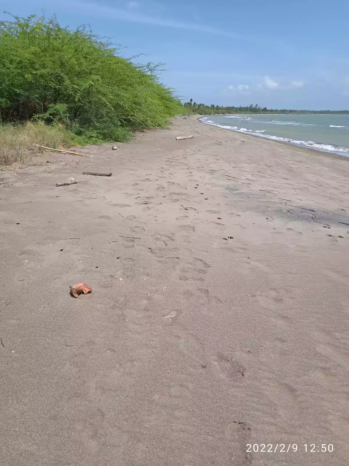 Beachfront — Beach Lot in Unnamed Road, Narra, Palawan — Photo 3