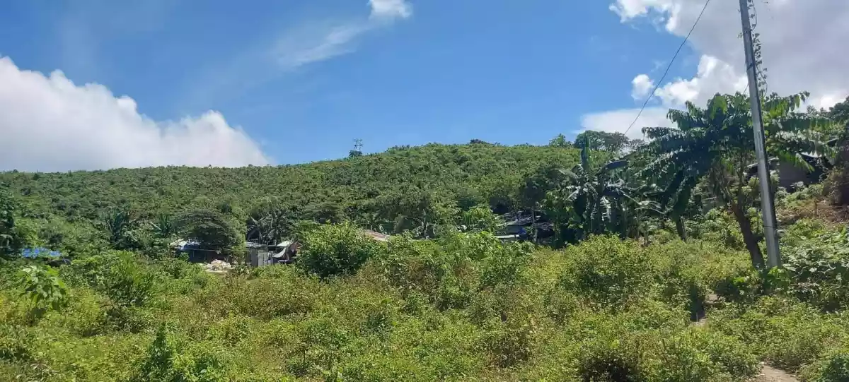 Lot for Sale - photo 2