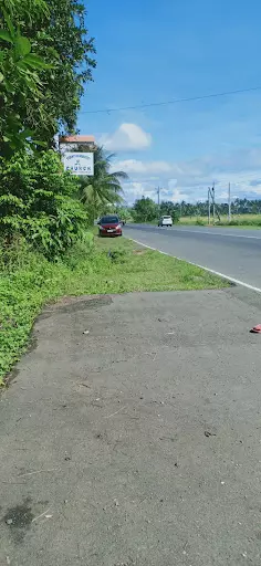 Farm Along National Highway — Agricultural Lot in Butuan City, Agusan Del Norte, Philippines — Photo 3