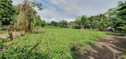 1100SQM RESIDENTIAL LOT FOR SALE — Residential Lot in South Cotabato, Philippines — Photo 3