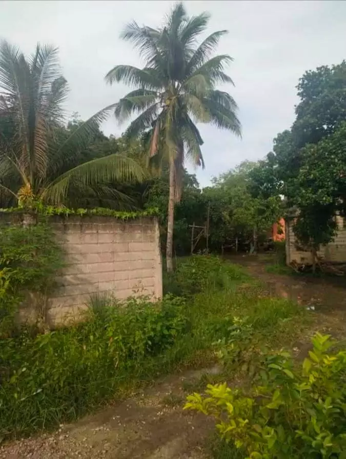 Lot for Sale in Tagbilaran City
