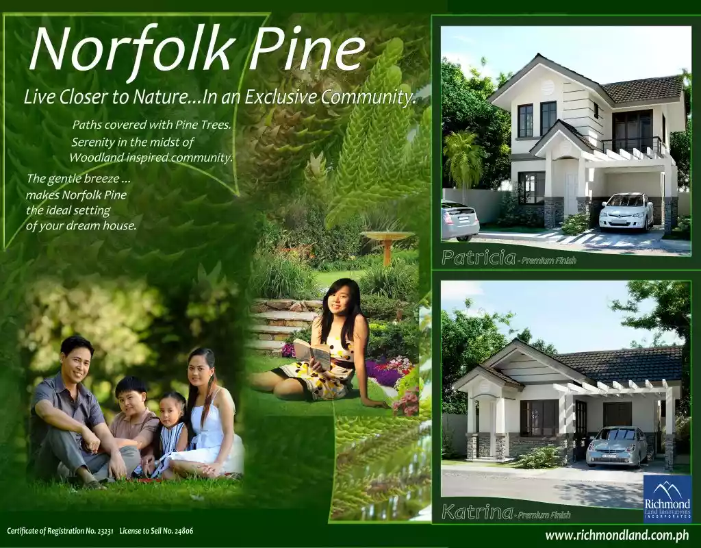 Corner Lot at Norfolk Pine Subdivision in General Santos - photo 4
