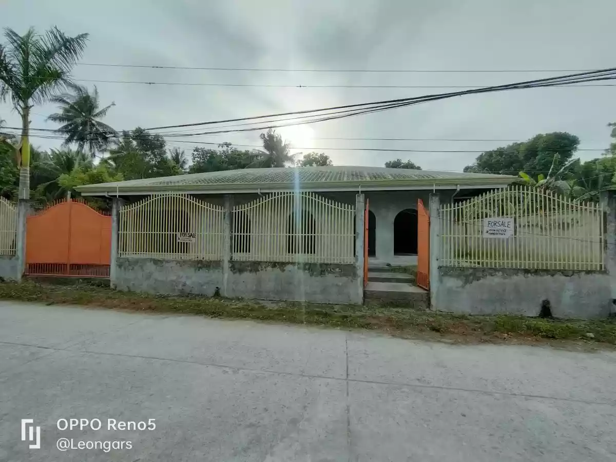 Unfinished House and Lot (European inspired design) for RUSH Sale in Bacong — House and Lot in Negros Oriental, Philippines — Photo 4