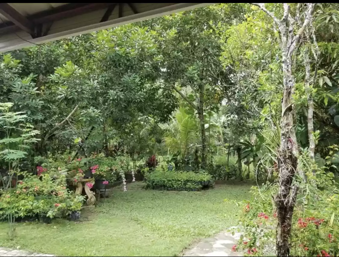 Balamban farmlot - photo 5