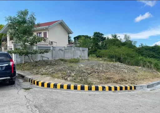 Lot for sale - photo 4