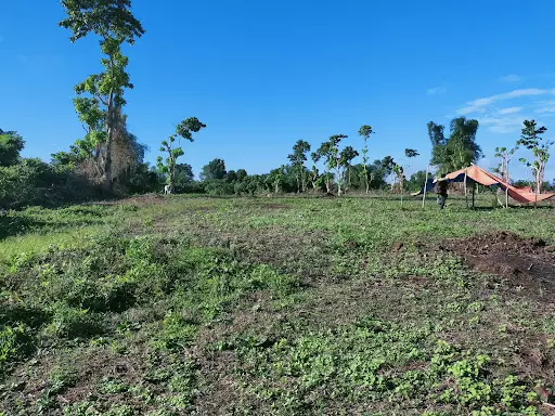 605 — Agricultural Lot in Naga, Camarines Sur, Philippines — Photo 7