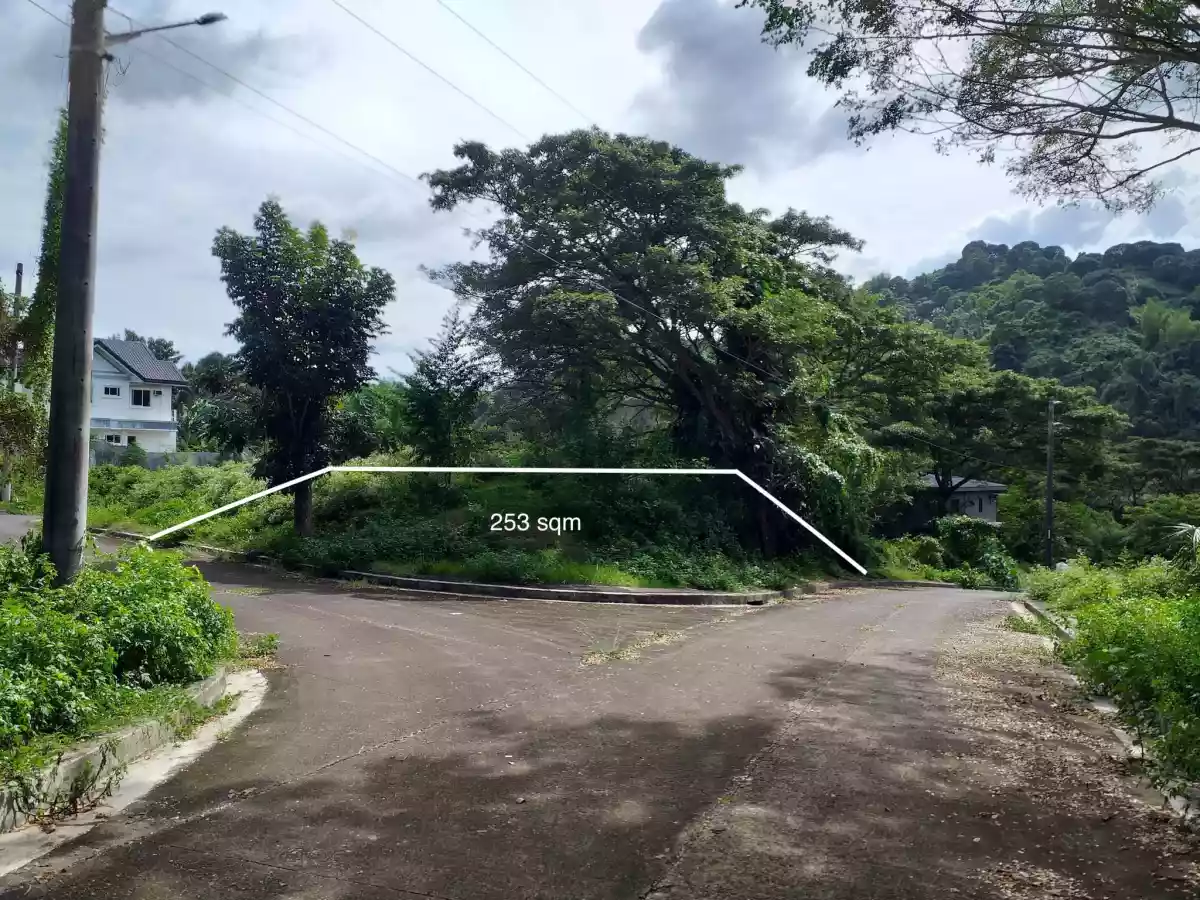 Corner residential lot at Greenwoods Village in Pulangbato Cebu City
