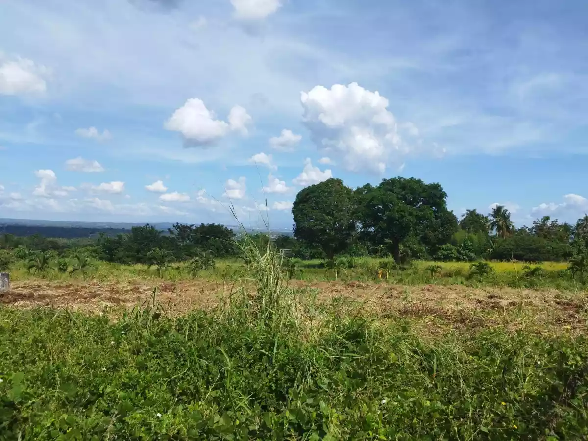 Villa Mercedes Residential Lot for Sale — Residential Lot in Davao City, Davao del Sur, Philippines — Photo 6