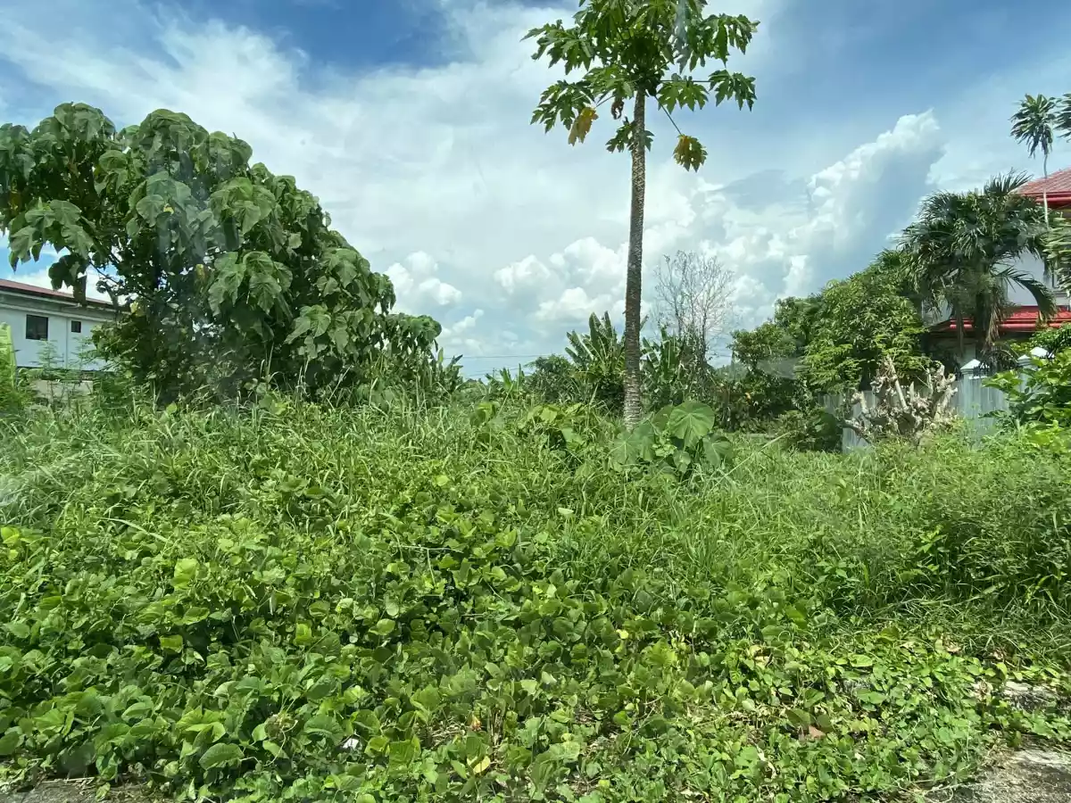 RESIDENTIAL LOT AVAILABLE — Residential Lot in Jaro, Iloilo City, Iloilo — Photo 6