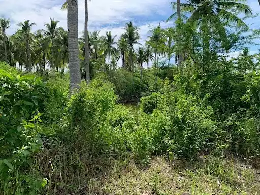 Open photo 22 of 27 — Beach Lot for Sale