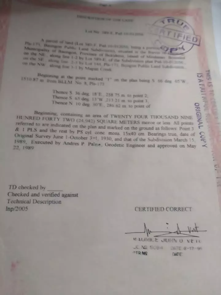 Open photo 12 of 19 — 10 hectares farm/agricultural land