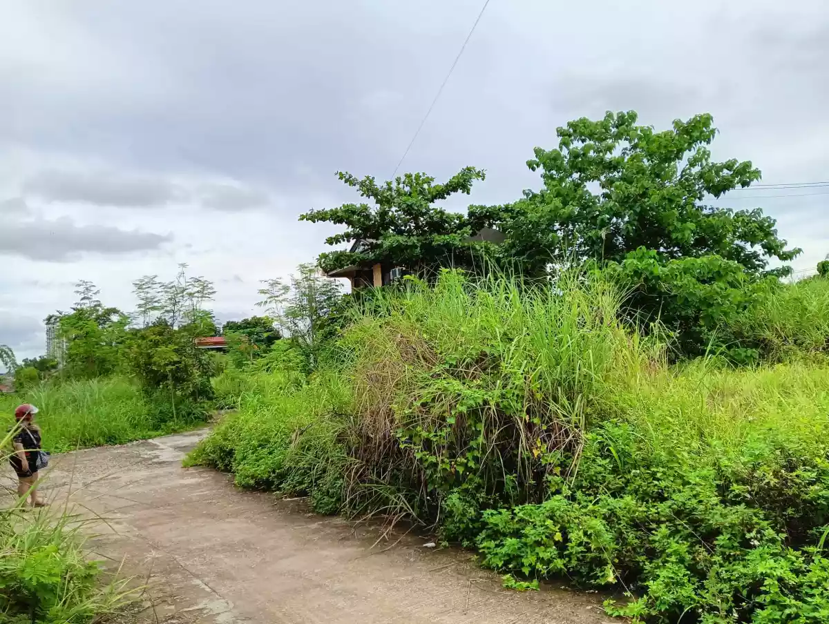 LOT FOR SALE IN LILOAN, CEBU - photo 3