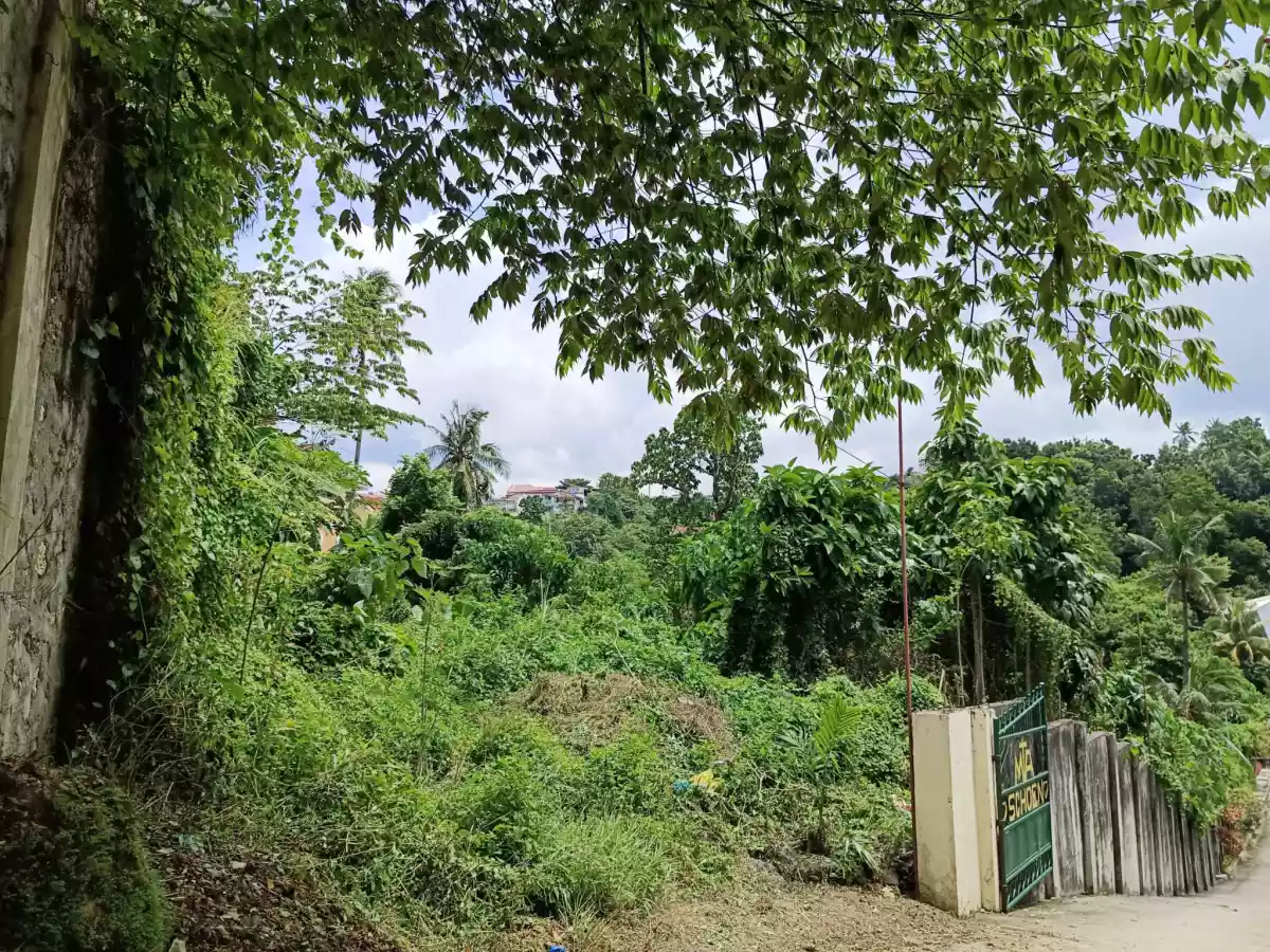 Titled Lot in Talisay For Sale