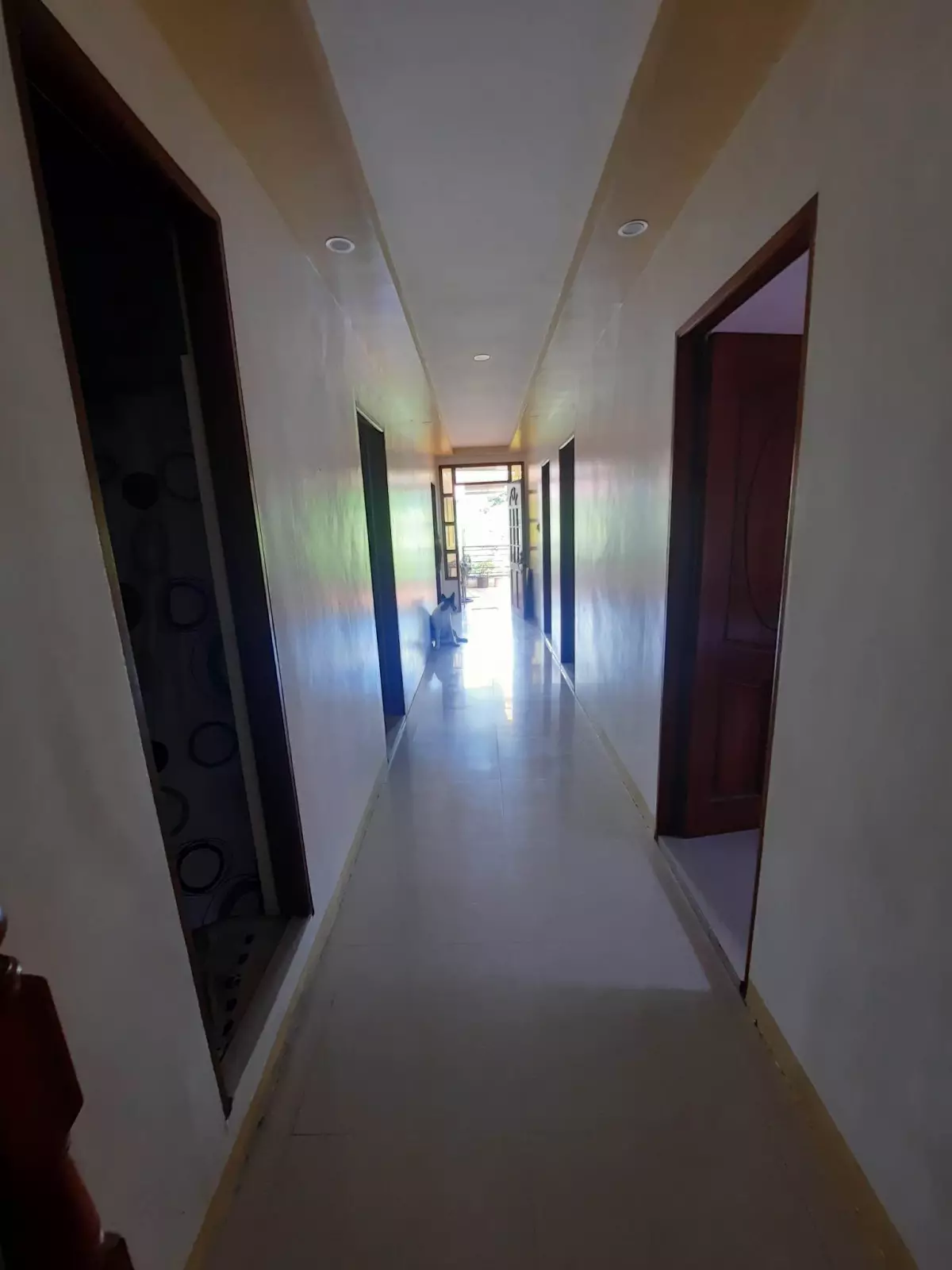 Malued Family Compound House Lot For Sale Dagupan Pangasinan — House and Lot in Dagupan, Pangasinan, Philippines — Photo 3