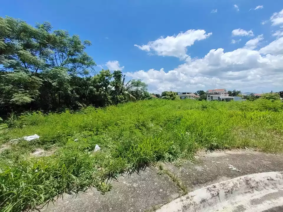 Residential Lot for Sale in Corona del Mar Subdivision in Talisay City — Residential Lot in Pooc, Talisay, Cebu — Photo 3