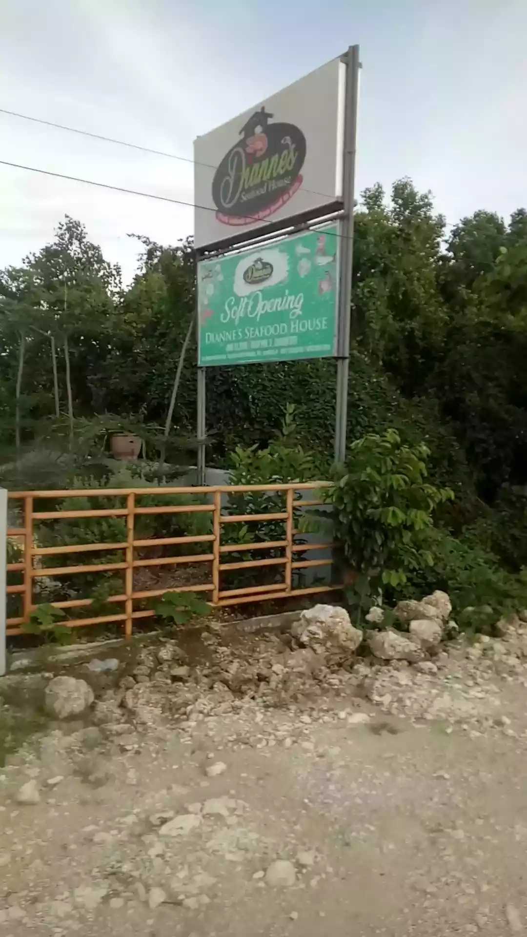 Lot for Sale in Carcar City - photo 6