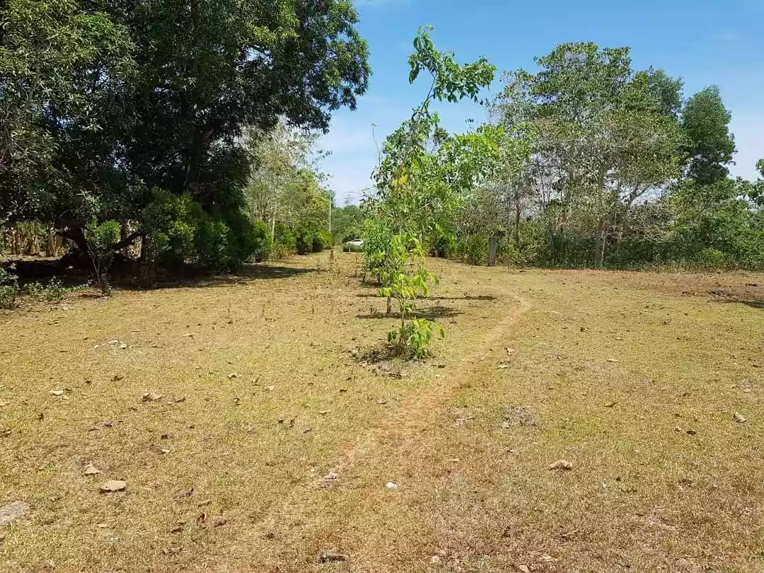Lot For Sale  - photo 4