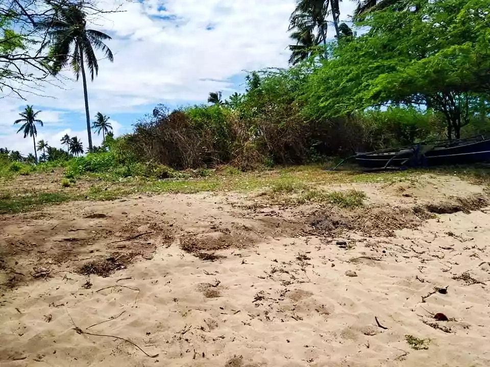 Beachlot - photo 6