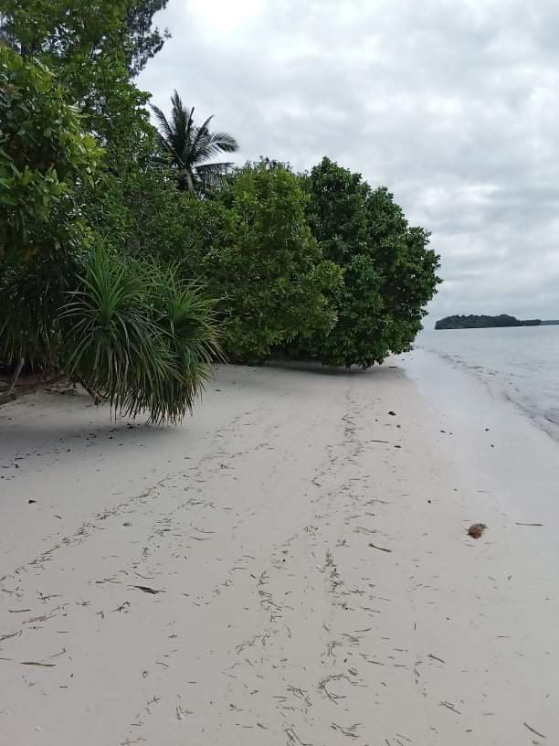 BEACH LOT FOR SALE IN MALINAO, GENERAL LUNA, SIARGAO - photo 4