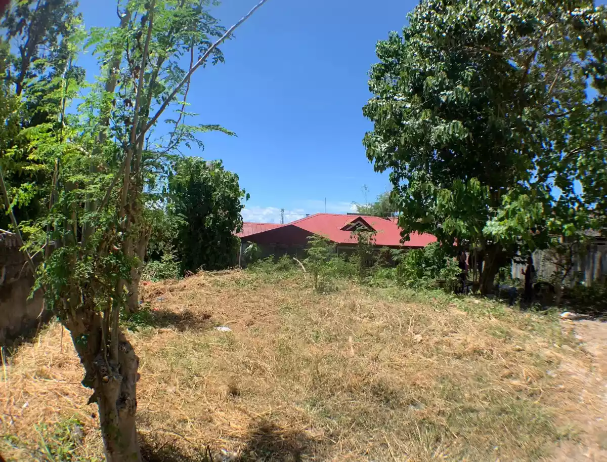 LOT FOR SALE BESIDE KAMALAYA II SUBDIVISION!! — Residential Lot in Abuno, Minglanilla, Cebu — Photo 4