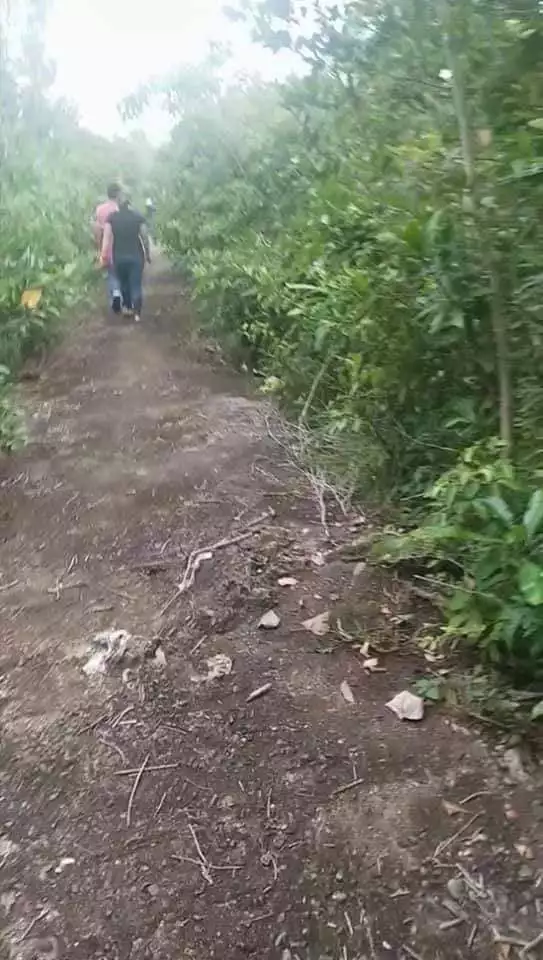 Lot for Sale in Panglao! — Residential Lot in Bohol, Philippines — Photo 2