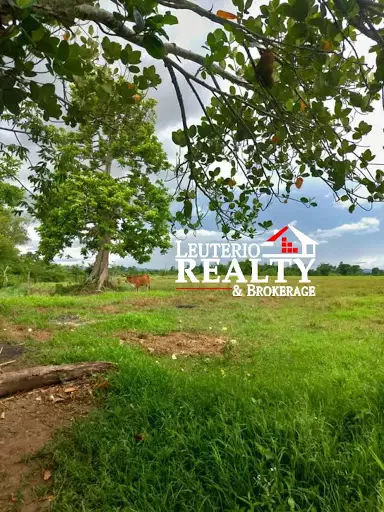 Agricultural /Farmlot — Agricultural Lot in Naga, Camarines Sur, Philippines — Photo 4