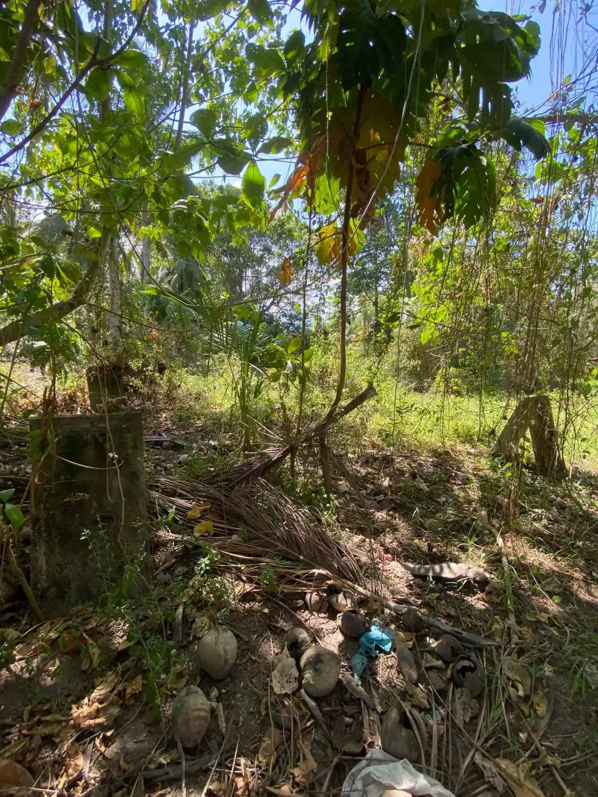 Lot For Sale With Road Right of Way Along Sibulan Diversion Road — Agricultural Lot in Sibulan, Diversion Road, Sibulan — Photo 4